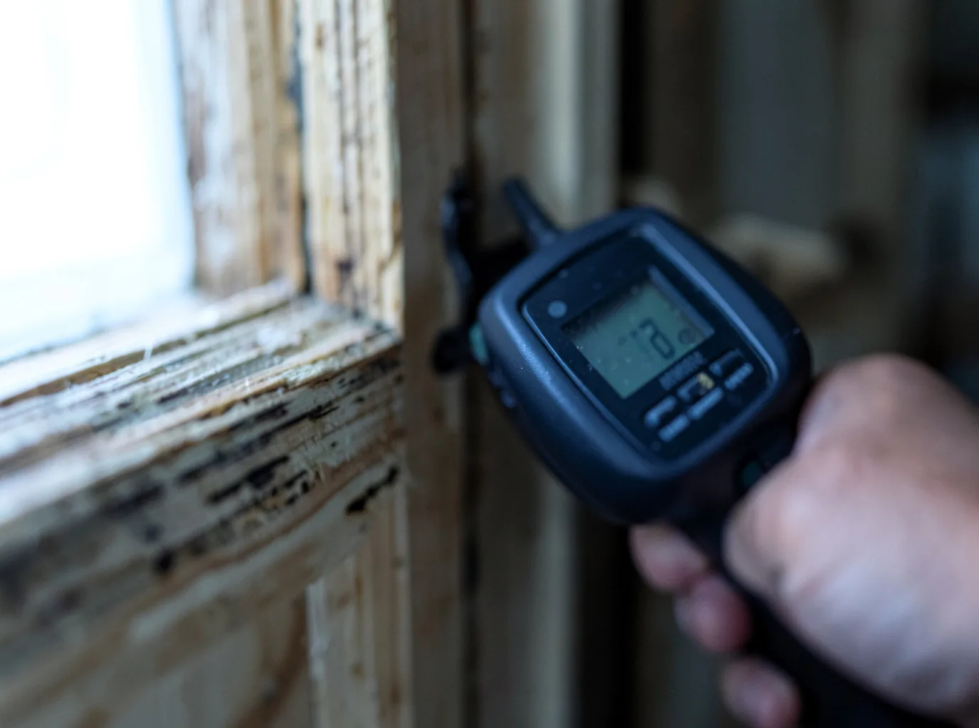 Moisture Inspection And Documentation in Stonington, ME